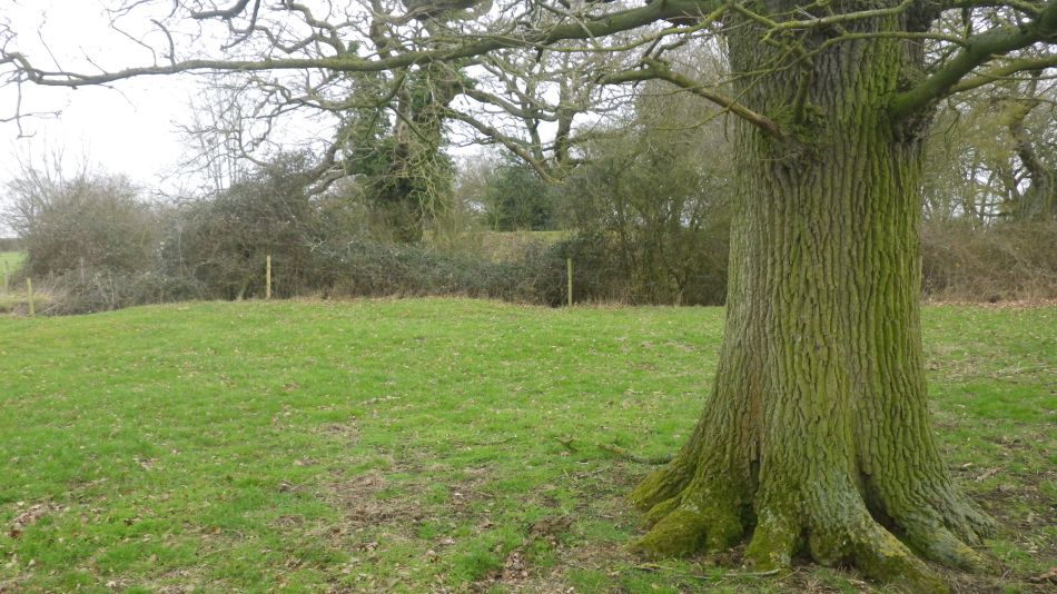 2019-02-20 01 NT Castle Hill Motte and Bailey.JPG