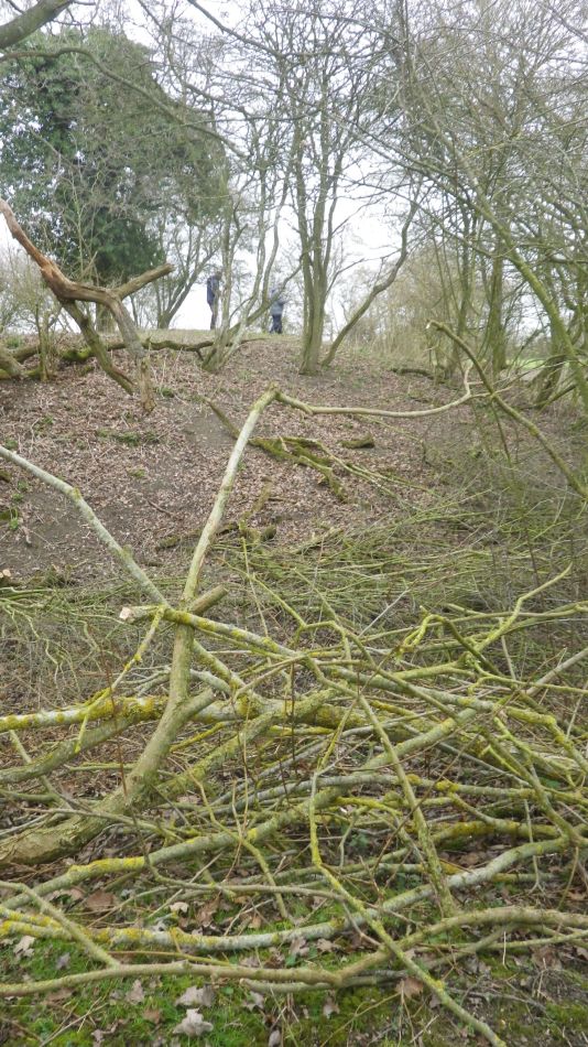2019-02-20 03 NT Castle Hill Motte and Bailey.JPG