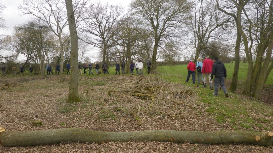 2019-02-20 07 NT Castle Hill Motte and Bailey.JPG