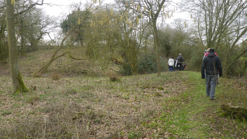 2019-02-20 08 NT Castle Hill Motte and Bailey.JPG