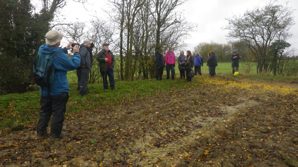 2019-11-27 01 Alburgh and Darrow Green.jpg