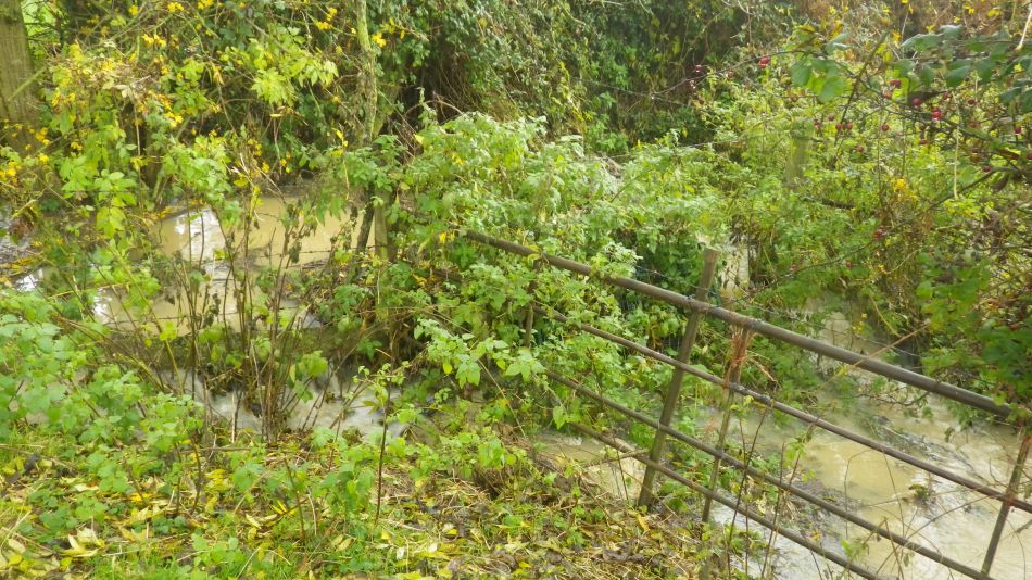 2019-11-27 03 Alburgh and Darrow Green.jpg