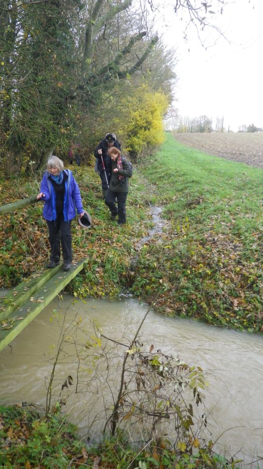 2019-11-27 07 Alburgh and Darrow Green.jpg