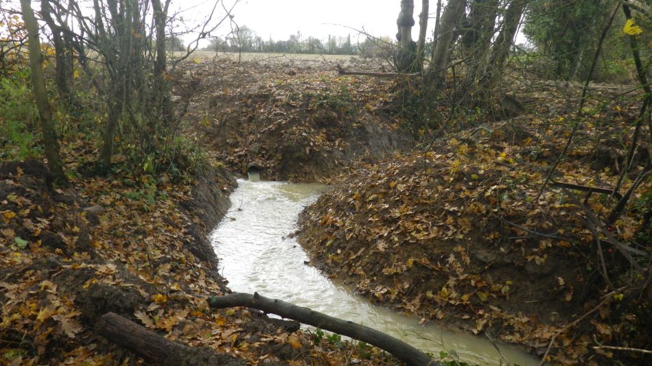 2019-11-27 08 Alburgh and Darrow Green.jpg