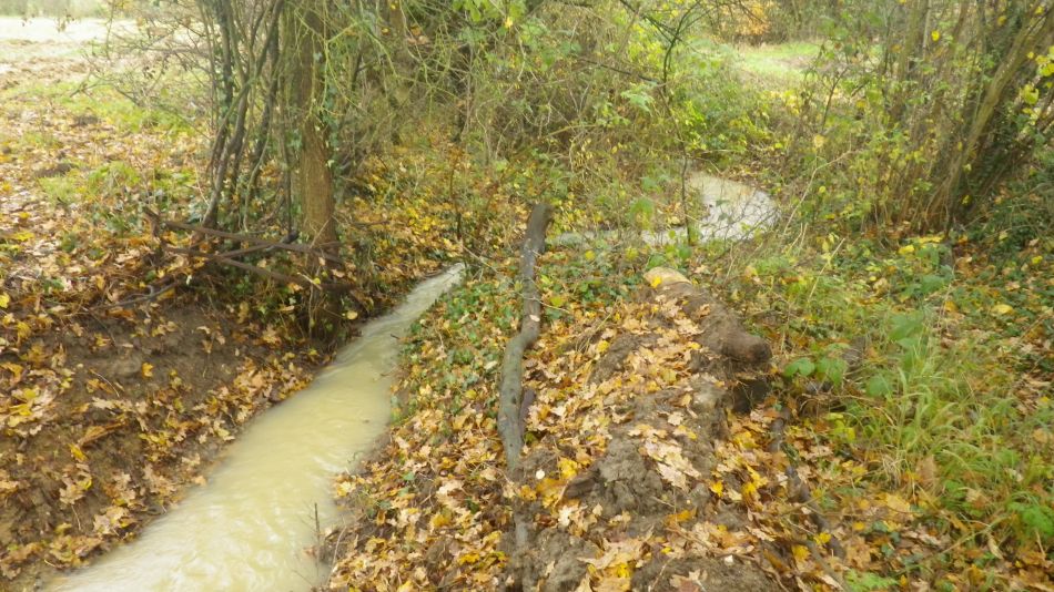 2019-11-27 09 Alburgh and Darrow Green.jpg