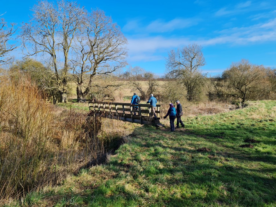 2022-02-23 02 Alburgh Denton Darrow Wood.jpg
