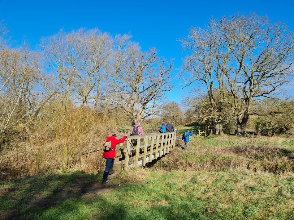 2022-02-23 03 Alburgh Denton Darrow Wood.jpg