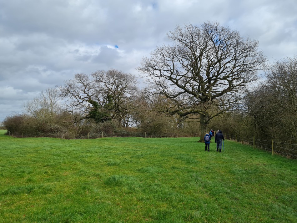 2022-02-23 05 Alburgh Denton Darrow Wood.jpg