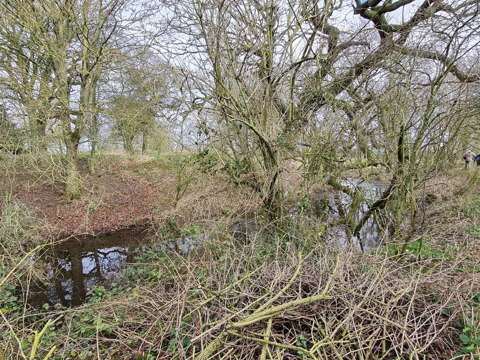 2022-02-23 06 Alburgh Denton Darrow Wood.jpg
