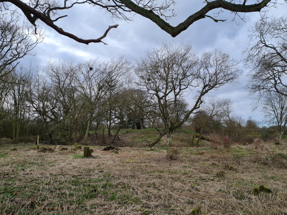 2022-02-23 08 Alburgh Denton Darrow Wood.jpg