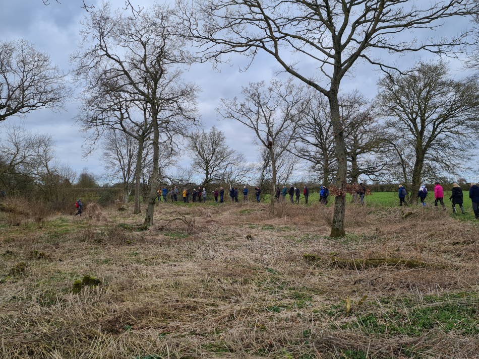 2022-02-23 09 Alburgh Denton Darrow Wood.jpg