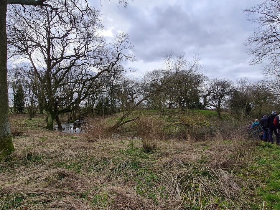 2022-02-23 10 Alburgh Denton Darrow Wood.jpg