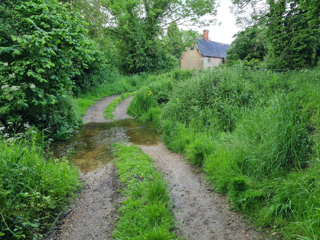 2024-05-29 04 Alburgh Denton and Darrow Wood.jpg