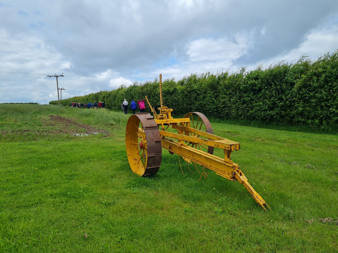 2024-05-29 07 Alburgh Denton and Darrow Wood.jpg