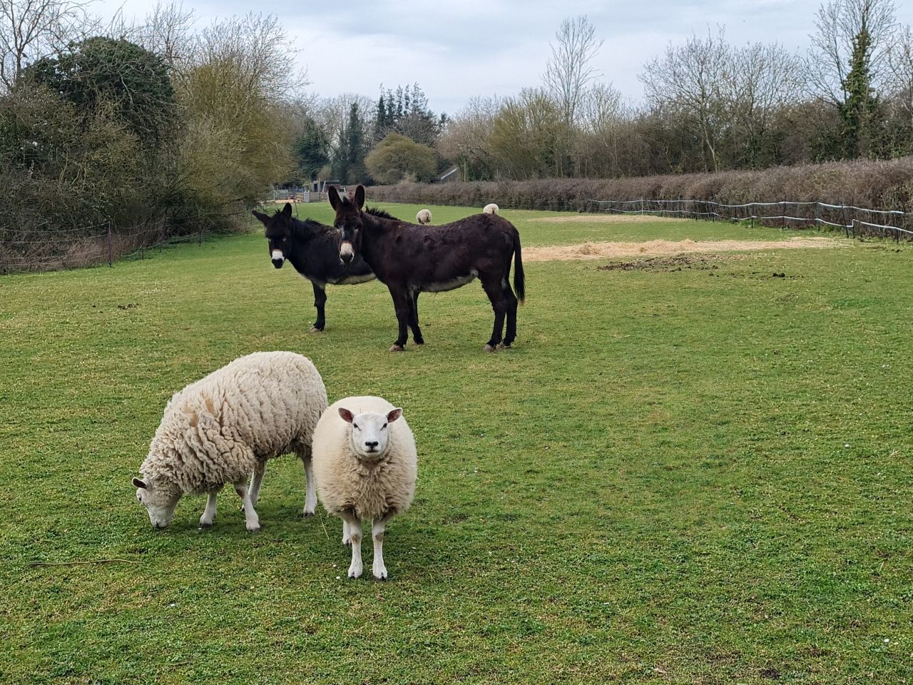 2025-03-22 04 Alburgh and Denton.jpg