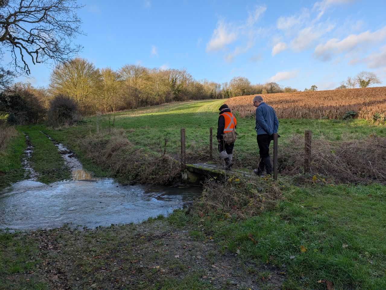 2025-12-10 02 Alburgh.jpg