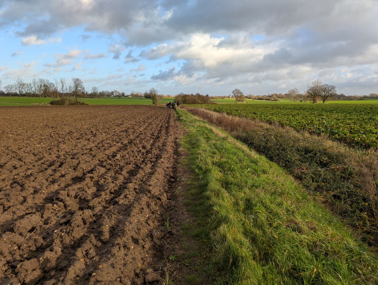 2025-12-10 06 Alburgh.jpg