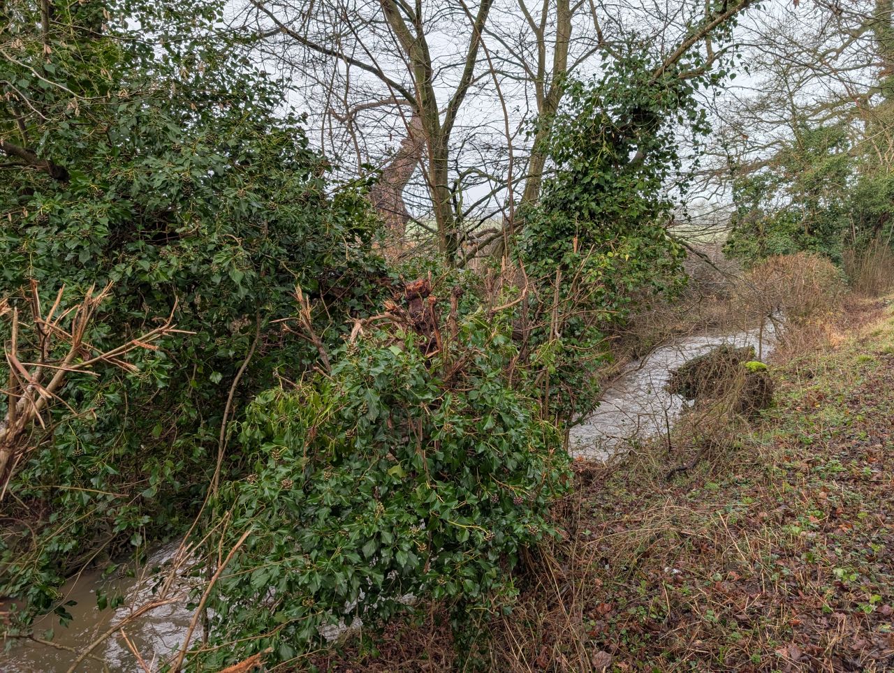 2026-01-28 01 Alburgh and Danacre.jpg