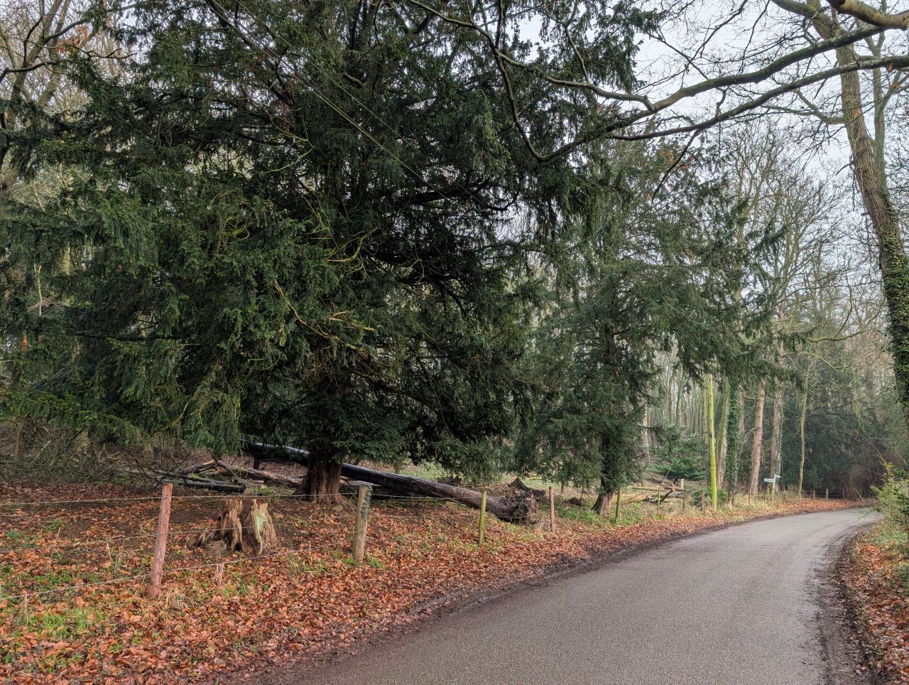 2026-01-28 02 Alburgh and Danacre.jpg