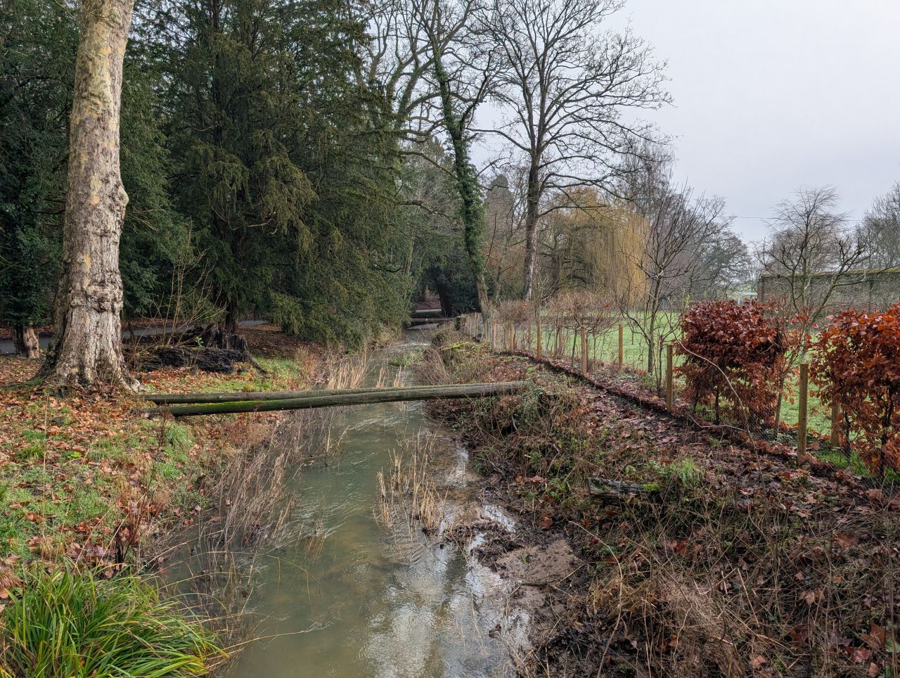 2026-01-28 06 Danacre Saint Mary.jpg