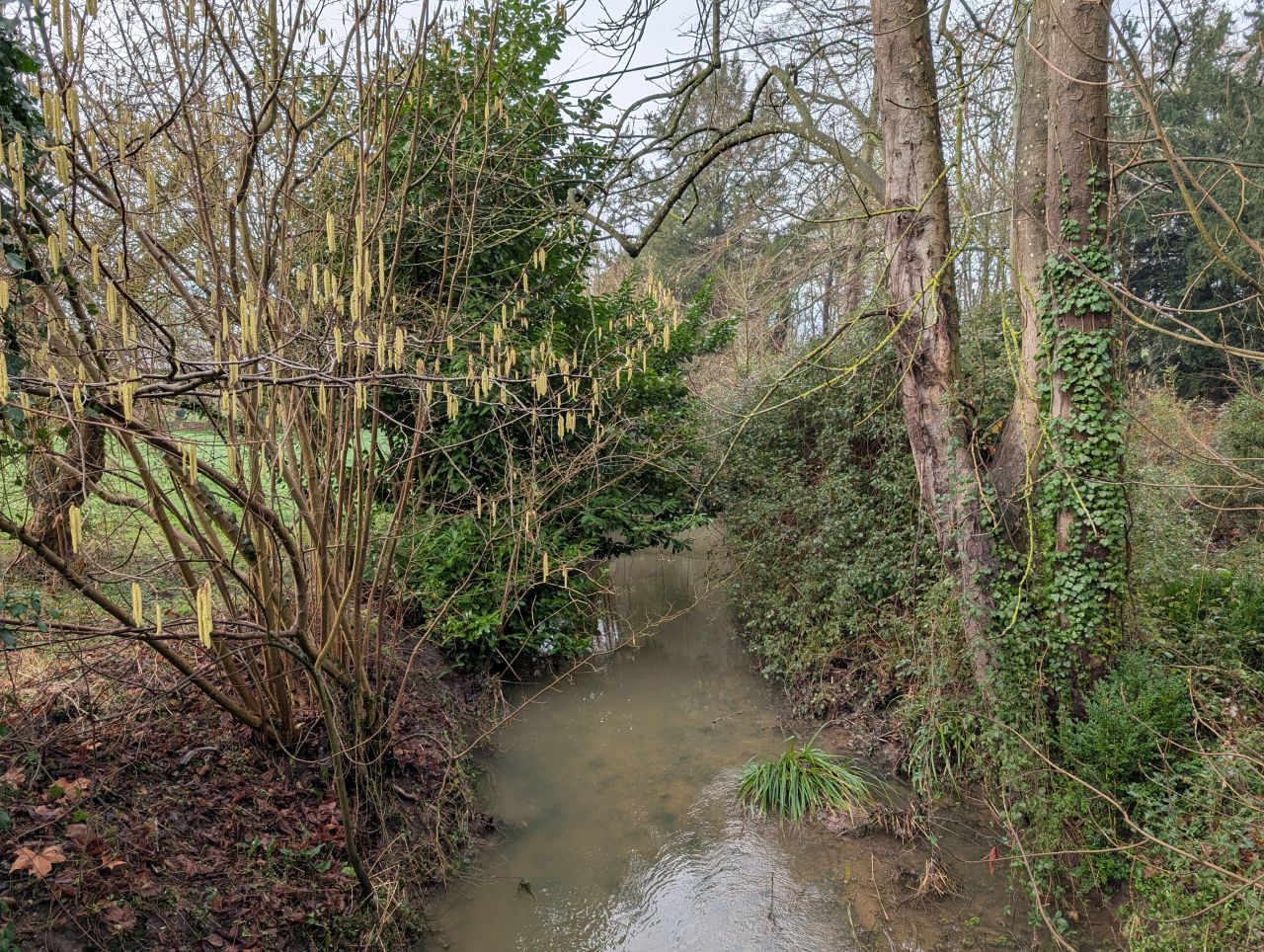 2026-01-28 07 Danacre Saint Mary.jpg