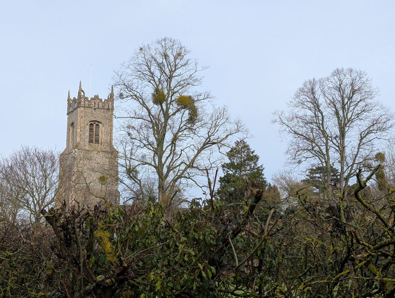 2026-01-28 15 Alburgh All Saints.jpg