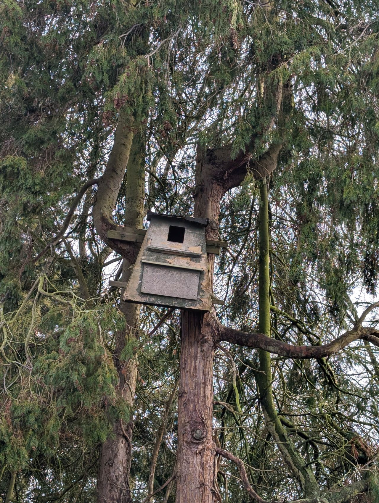 2026-01-28 29 Alburgh All Saints.jpg