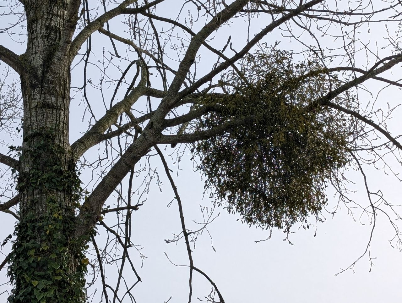 2026-01-28 33 Alburgh and Danacre.jpg