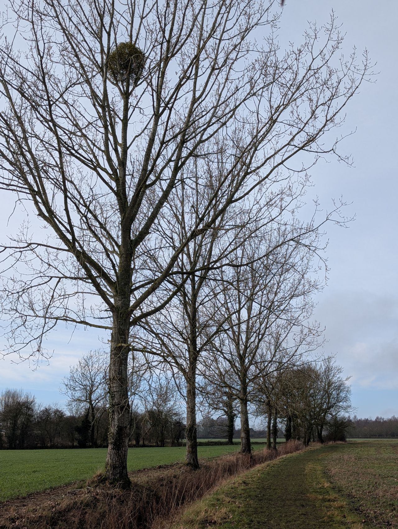 2026-01-28 34 Alburgh and Danacre.jpg