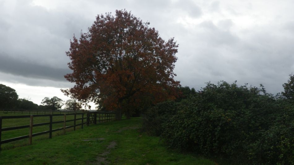 2020-09-05 04 Shotley and Pin Mill.jpg