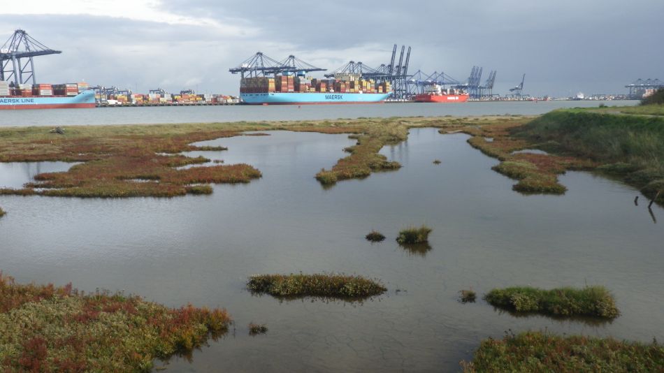 2020-09-05 10 Shotley and Pin Mill.jpg