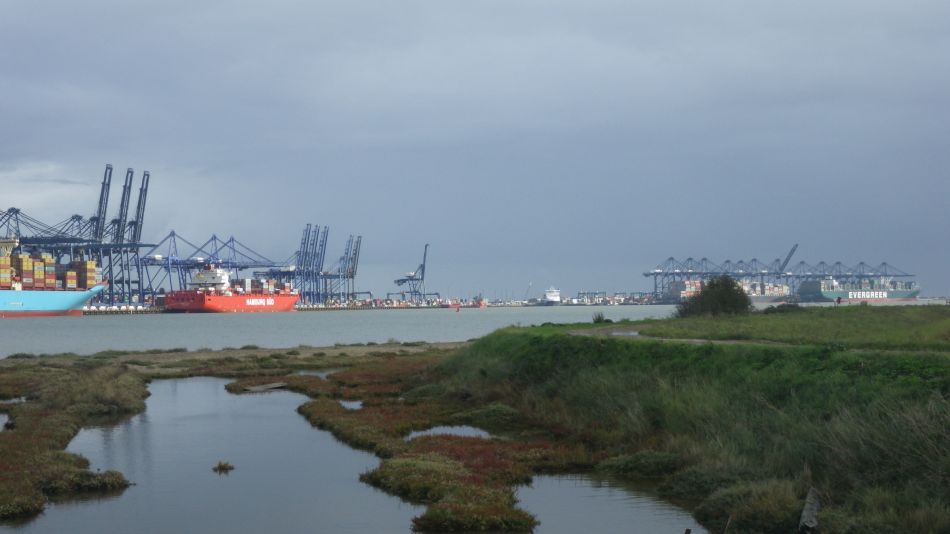 2020-09-05 11 Shotley and Pin Mill.jpg