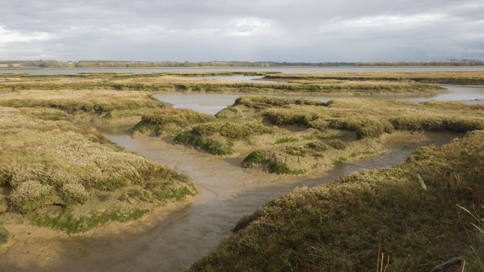 2020-09-05 13 Shotley and Pin Mill.jpg