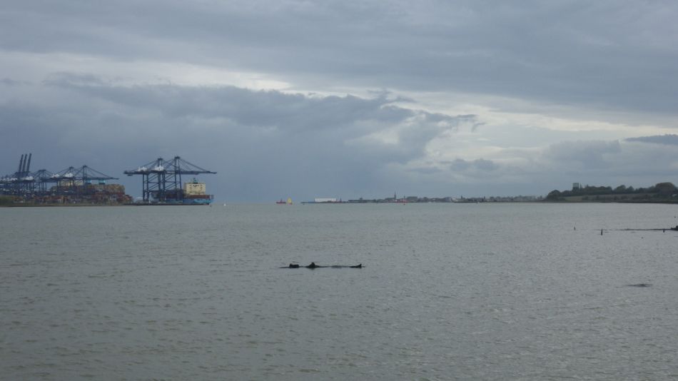 2020-09-05 15 Shotley and Pin Mill.jpg