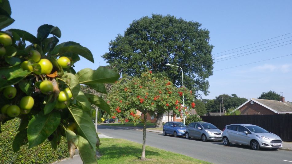 2017-08-27 03 Kessingland Area.jpg