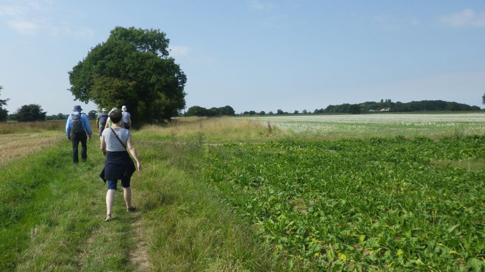 2017-08-27 04 Kessingland Area.jpg