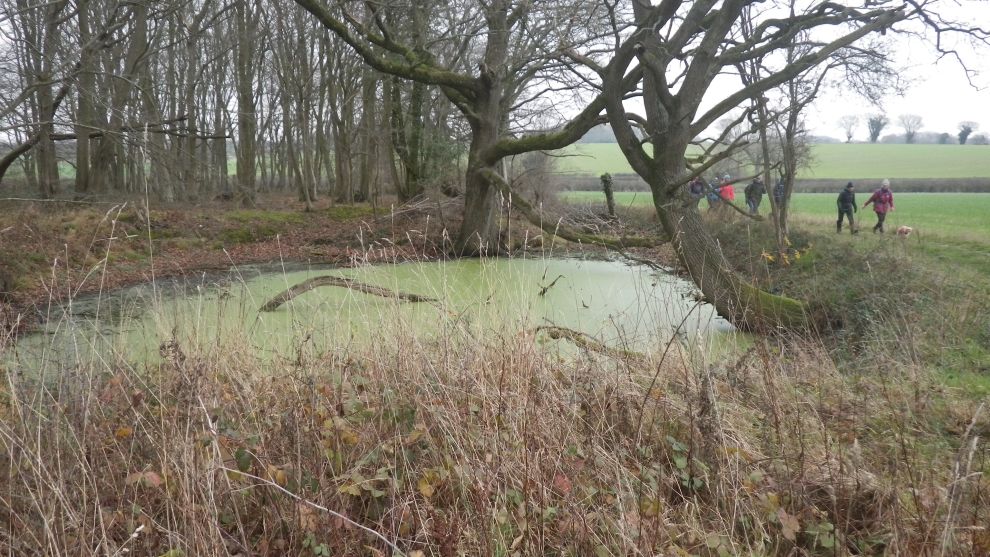 2019-01-05 03 Saxlingham.jpg