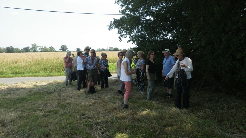 2016-07-20 08 Rumburgh Area.jpg