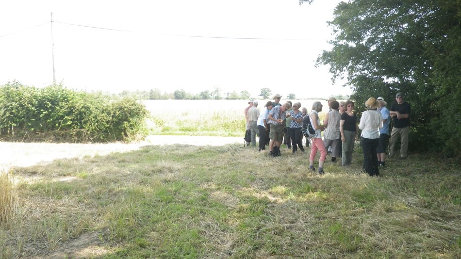 2016-07-20 10 Rumburgh Area.jpg