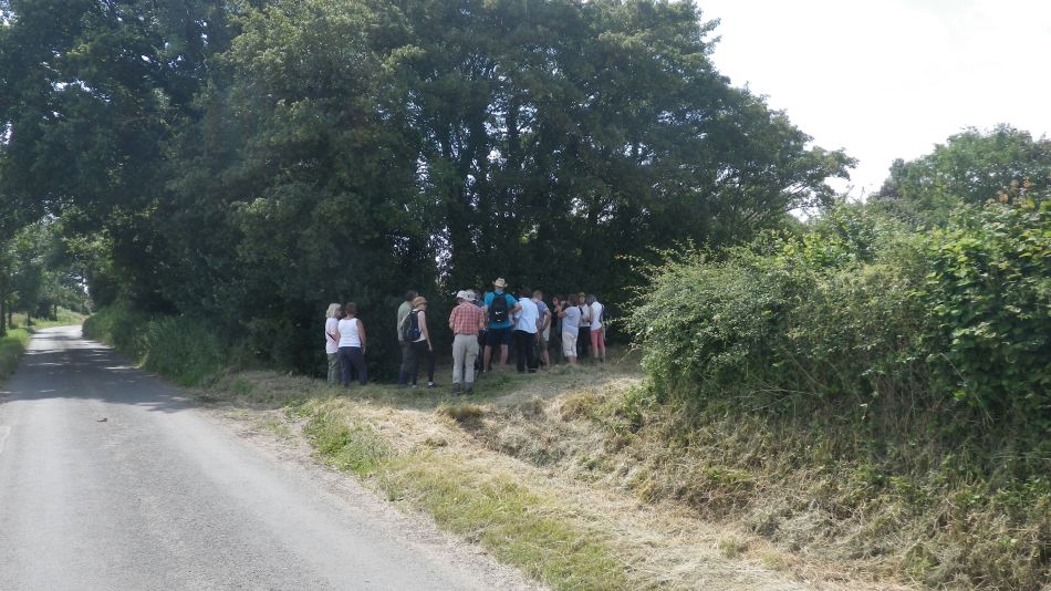 2016-07-20 11 Rumburgh Area.jpg