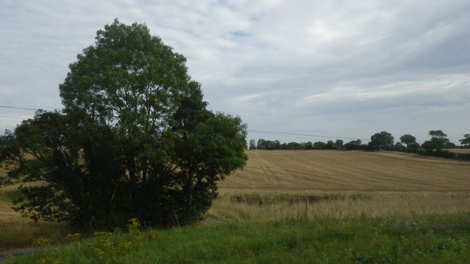 2019-08-28 01 Rumburgh.jpg