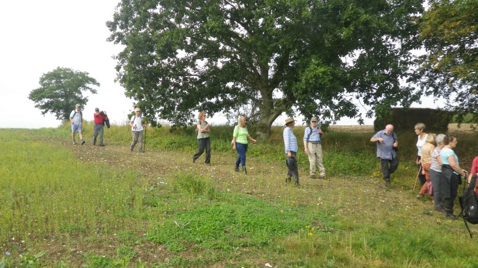 2019-08-28 03 Rumburgh.jpg