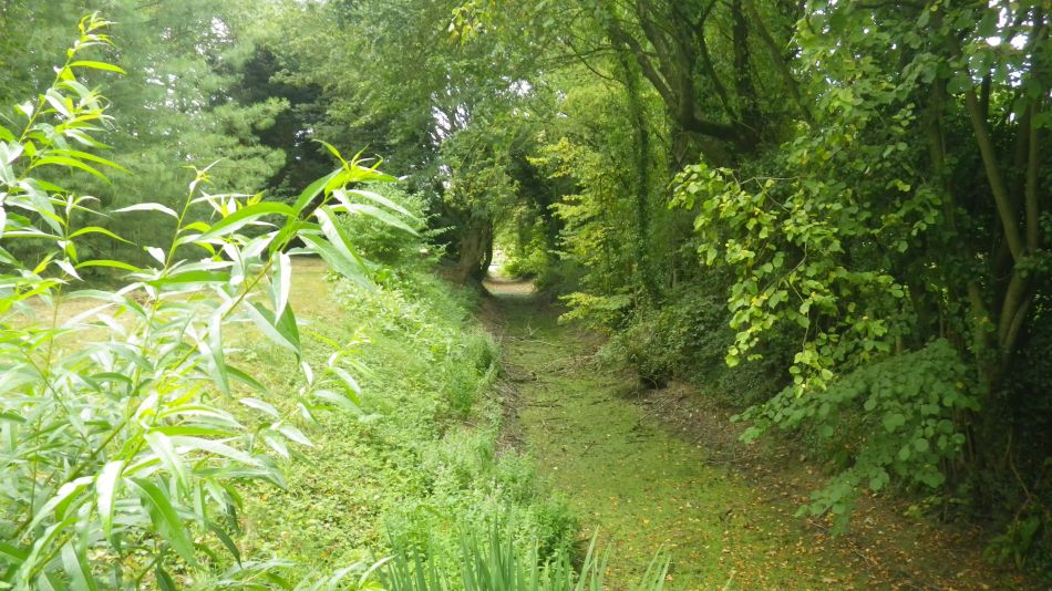 2019-08-28 06 Rumburgh.jpg