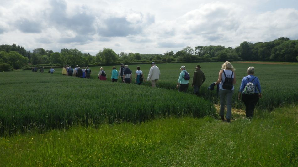 2019-06-05 10 Shotesham.JPG