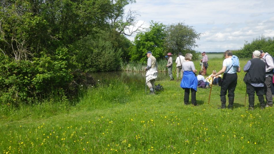 2019-06-05 12 Wild Meadow.JPG