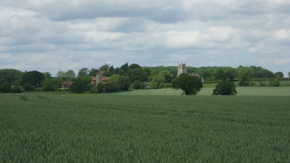 2019-06-05 24 Shotesham.JPG