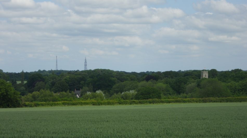 2019-06-05 25 Shotesham.JPG