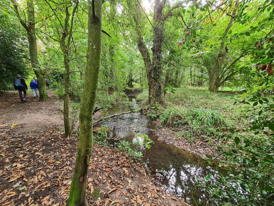 2023-10-04 17 Shotesham.jpg