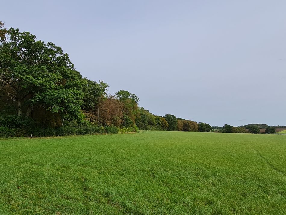 2023-10-04 20 Shotesham.jpg