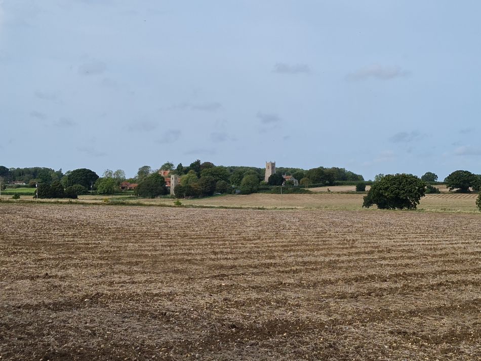 2023-10-04 24 Shotesham.jpg